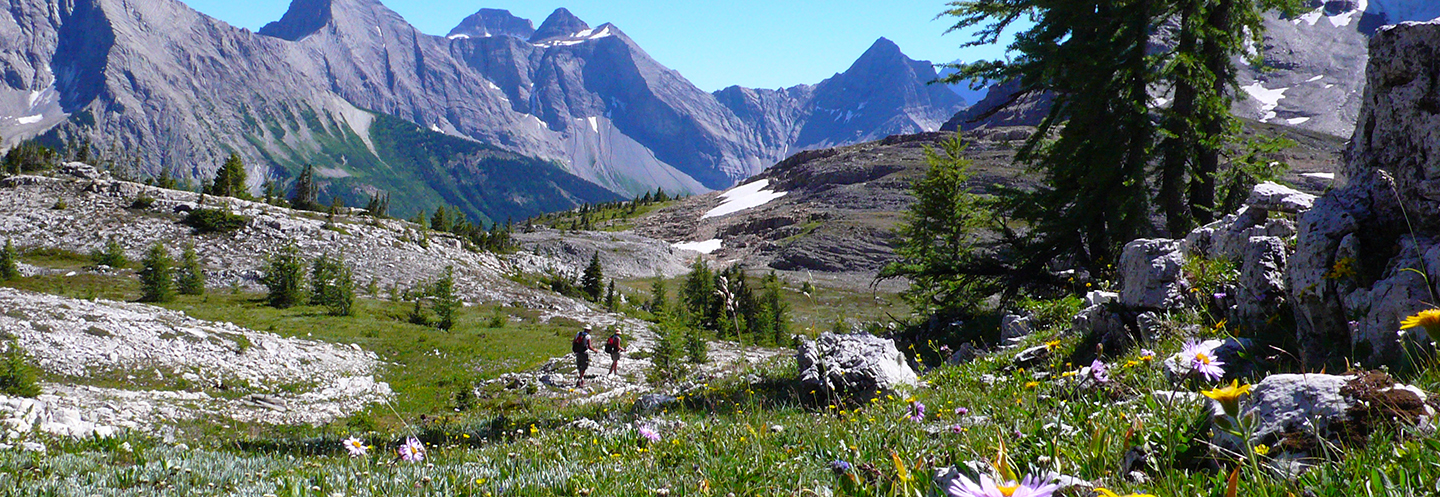 Mistaya Lodge – Kootenay Rockies